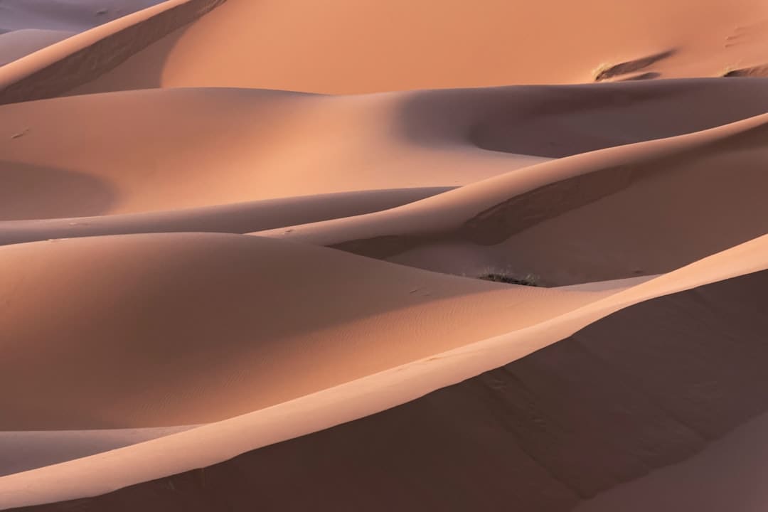 https://img2.utuku.imgcdc.com/650x0/news/20250807/45a94bf3-86c7-4a07-8dac-a04566410f96.jpg